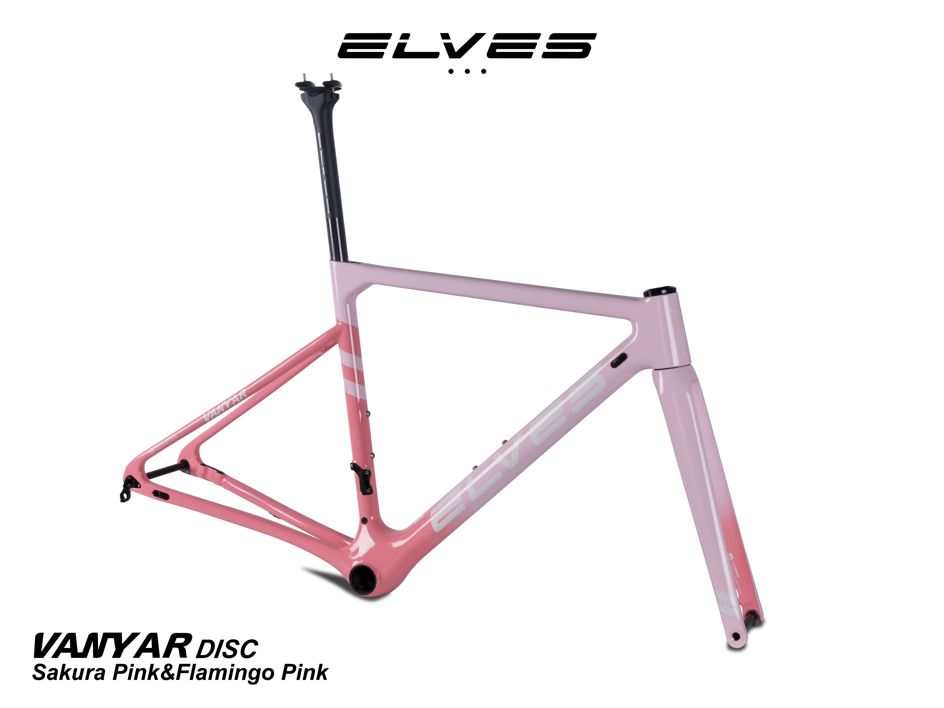 Sakura-Pink & Flamingo-Pink